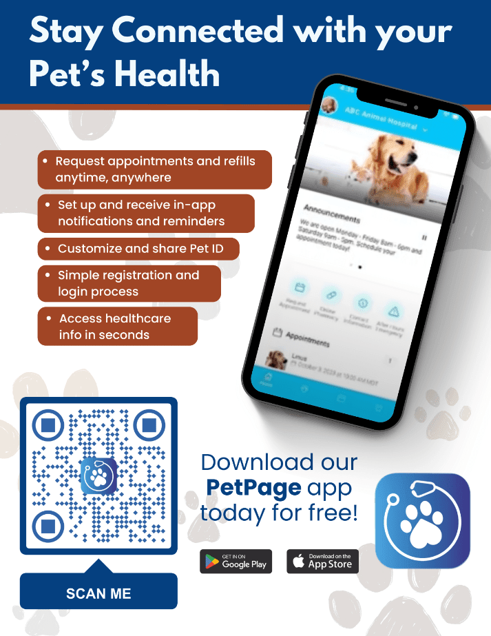 PetPage App, Rothesay