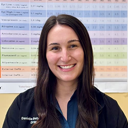 Dr. Danielle Bellefleur, Rothesay Veterinarian