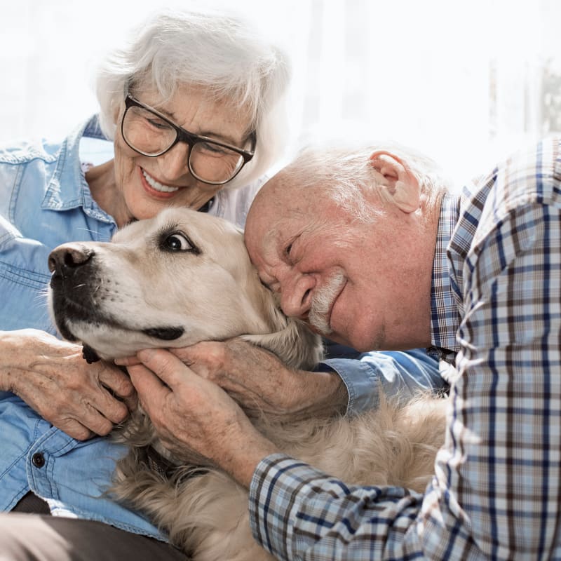 Geriatric Care for Pets, Rothesay